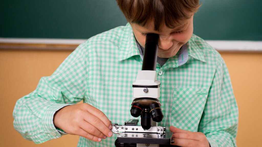 Förderung für MINT-Nachwuchs