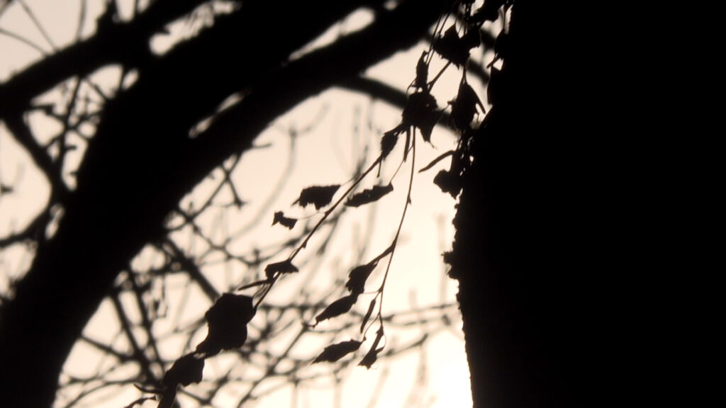 Wie umgehen mit Suizid? Vater gründet Selbsthilfegruppe für Angehörige von Suizidenten