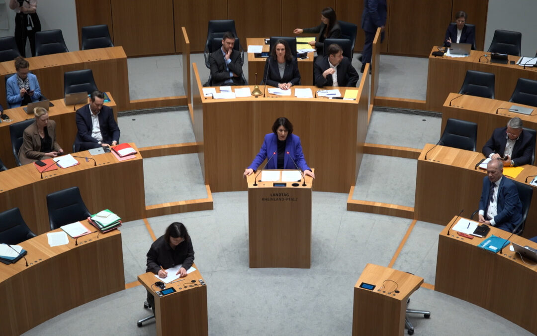 FDP fordert Abschaffung von Verbandsklagen