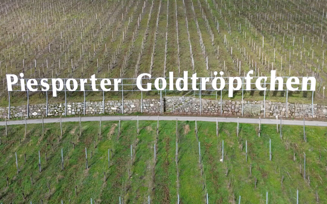 Neue EU-Regelung: Moselwinzer fürchten um „Piesporter Goldtröpfchen“